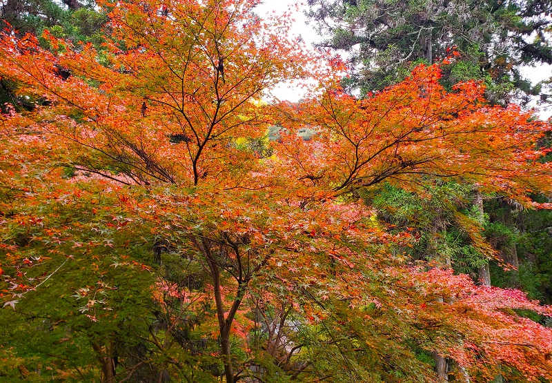 石山寺・大津・滋賀