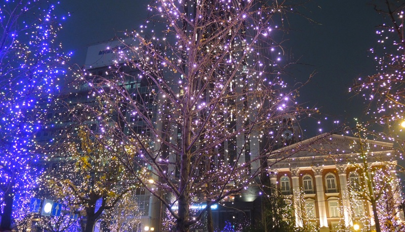 大阪光の饗宴・御堂筋イルミネーション