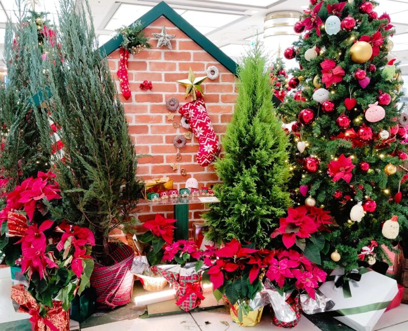 ホワイティ梅田・すみっコぐらしのクリスマス
