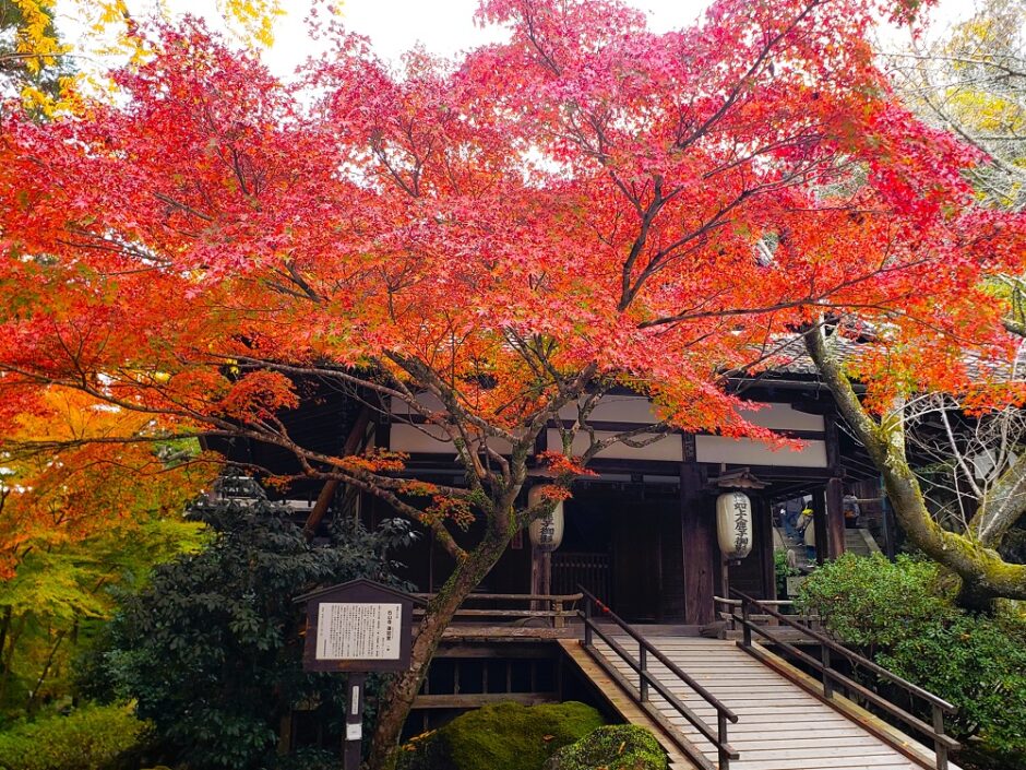 滋賀県大津市「石山寺」紅葉