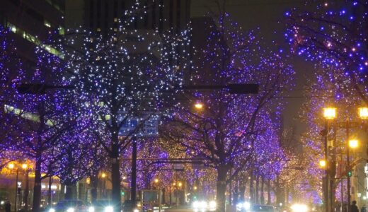 2025 大阪光の饗宴・御堂筋イルミネーション　日程